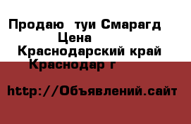 Продаю  туи Смарагд.  › Цена ­ 250 - Краснодарский край, Краснодар г.  »    